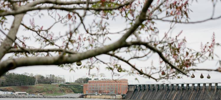 Spacious Kitchen and Relaxing Atmosphere - Gorgeous River Retreat图片