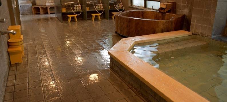 Hanamizuki酒店(Hotel and Spa Hanamizuki)图片