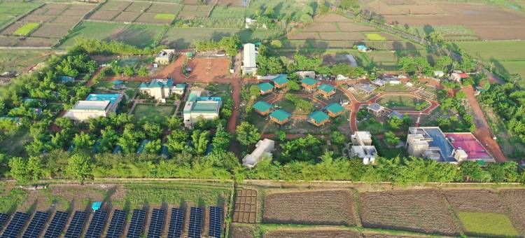 达斯图塔多巴(Tathastu Tadoba)图片