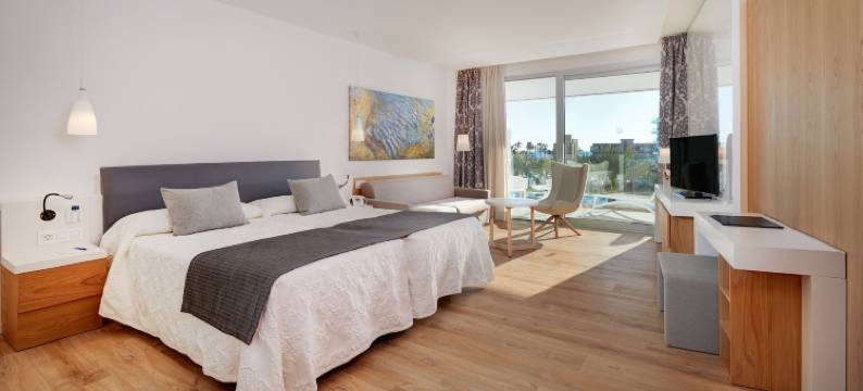 希波特尔斯帕尔马海滩宫殿及水疗酒店(Hipotels Playa de Palma Palace&Spa)图片