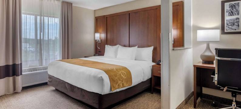 堪萨斯城赛道舒适套房酒店(Comfort Suites Speedway - Kansas City)图片