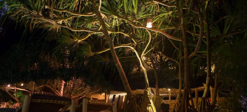 桑吉巴尔日出班达斯酒店(Zanzibar Sunrise at Bandas)图片