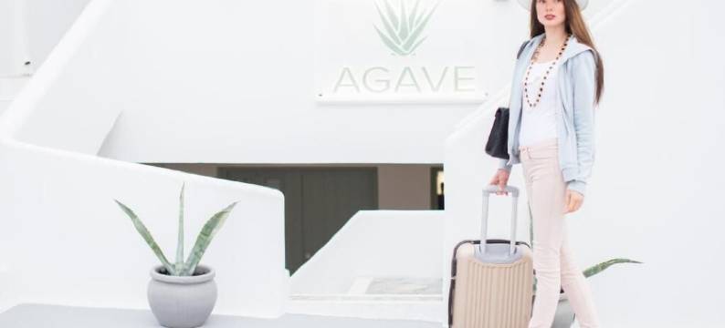阿加弗酒店(Agave Santorini Design Boutique Hotel)图片