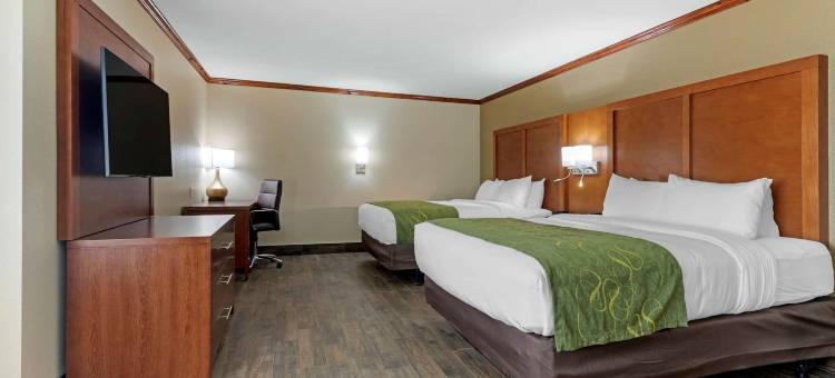 韦斯特门罗舒适套房酒店-近艾克汉密尔顿博览中心(Comfort Suites West Monroe Near Ike Hamilton Expo Center)图片