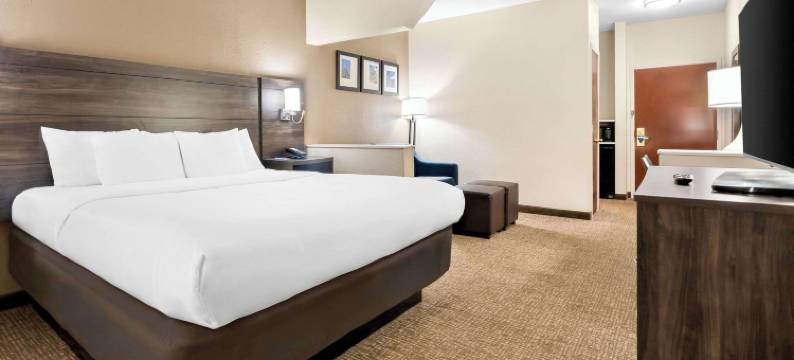 近罗宾斯空军基地舒适套房酒店(Comfort Suites Near Robins Air Force Base)图片