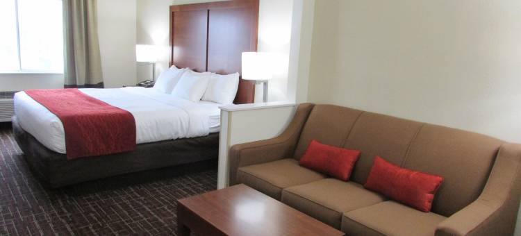 威奇托福尔斯舒适酒店-近大学(Comfort Inn Wichita Falls Near University)图片