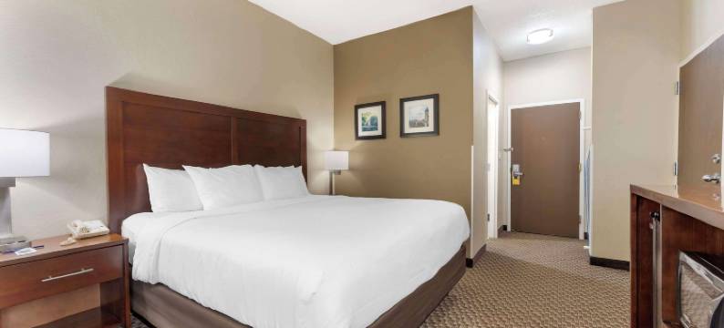 舒适酒店及套房(Comfort Inn & Suites)图片