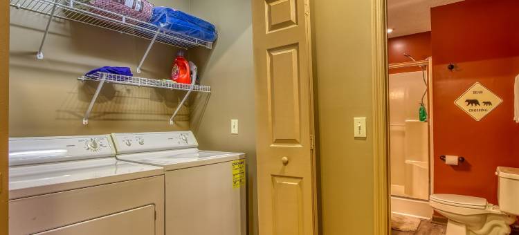 树梢由HoneyBear小屋(Tree Tops by HoneyBear Cabins)图片