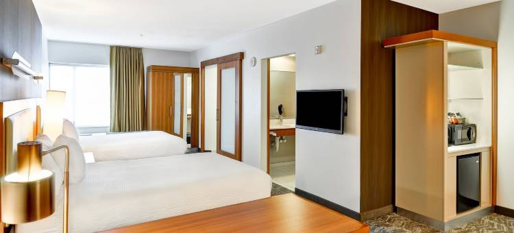 哥伦比亚SpringHill Suites酒店(SpringHill Suites by Marriott Columbia Fort Meade Area)图片