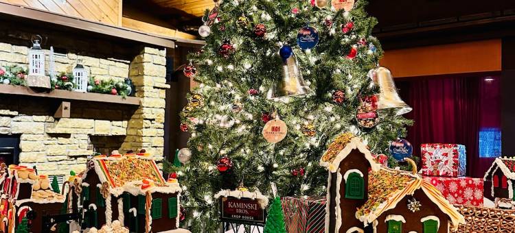 Chula Vista Resort, Trademark Collection by Wyndham图片