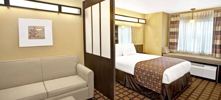 卡特斯维尔麦客达套房酒店(Microtel Inn & Suites by Wyndham Cartersville)图片