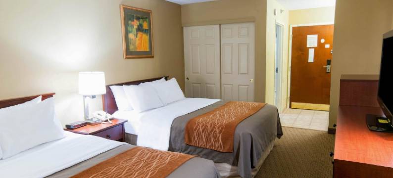 新荷兰阿米什乡村舒适酒店(Comfort Inn Amish Country)图片