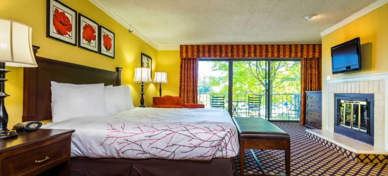 湖景酒店 - 香缇溪度假村(The Lakeview Hotel, Shanty Creek Resort)图片
