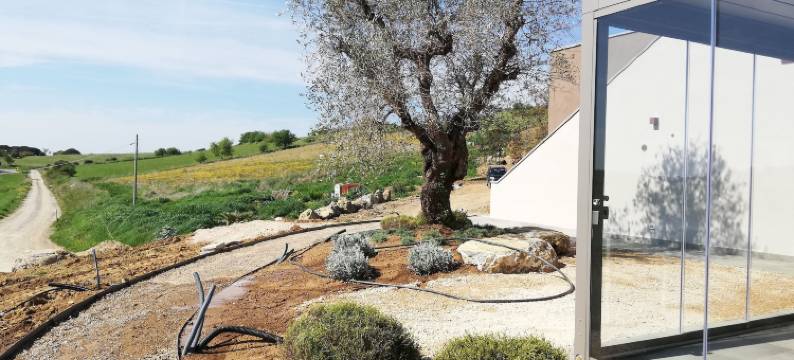 皮可罗玛琪农庄酒店(Agriturismo le Piccole Macìe)图片