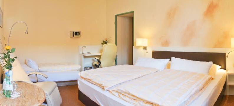 卡斯塔尼恩霍夫劳因根酒店-餐厅(Hotel - Restaurant Kastanienhof Lauingen)图片