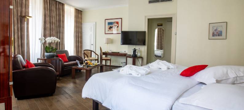 杜帕尔克米卢斯中心酒店(Hotel du Parc - Mulhouse Centre)图片