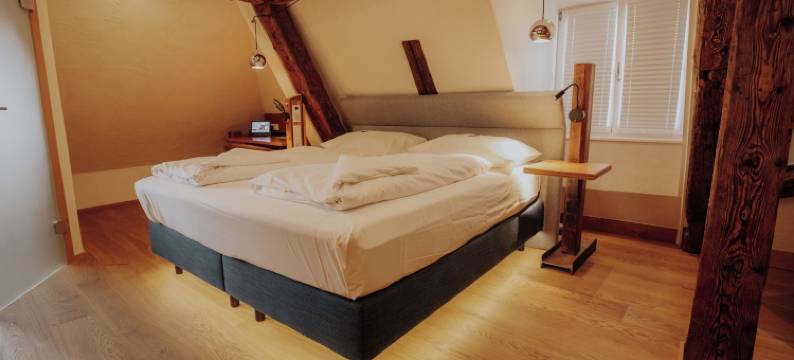 老城米特酒店(Altstadtmittehotel Sonne)图片