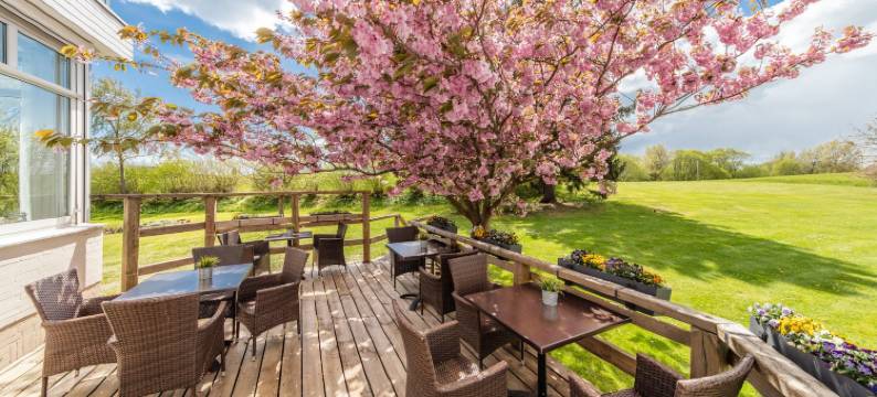 克雷亨贝格霍夫酒店(HofHotel Krähenberg)图片