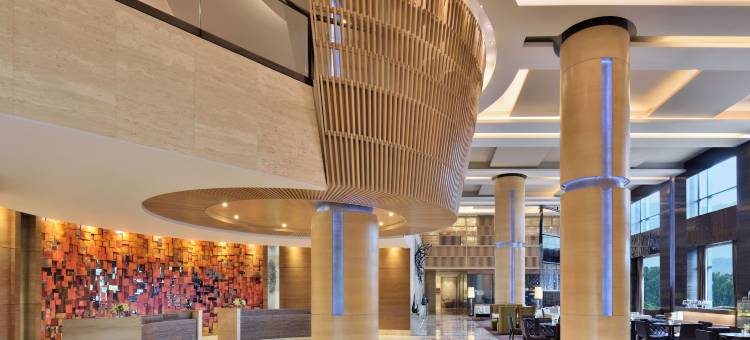 JW万豪昌迪格酒店(JW Marriott Hotel Chandigarh)图片