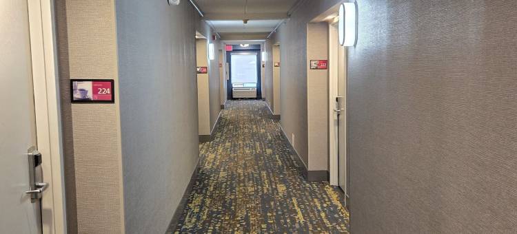 希尔顿欢朋酒店-科默斯(Hampton Inn Commerce)图片