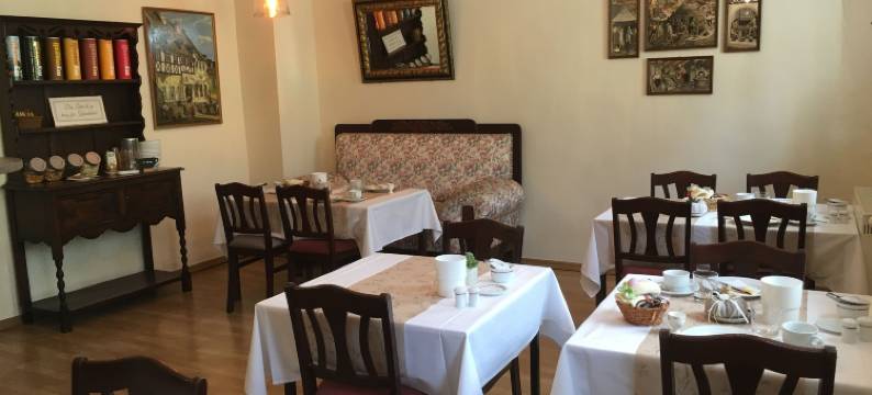 阿尔特安纳贝格伽尼酒店(Hotel Alt Annaberg)图片