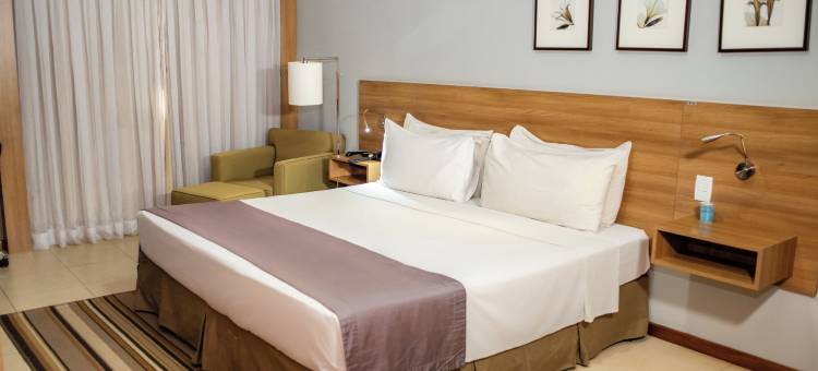 塞尔陶齐尼奥舒适酒店(Comfort Hotel Sertãozinho)图片