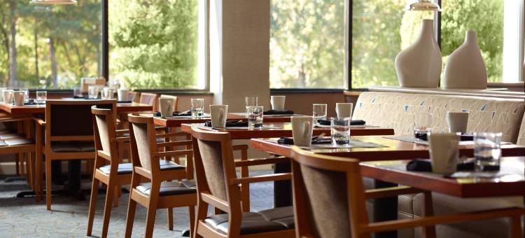 亚特兰大广场西北万豪酒店(Atlanta Marriott Northwest at Galleria)图片