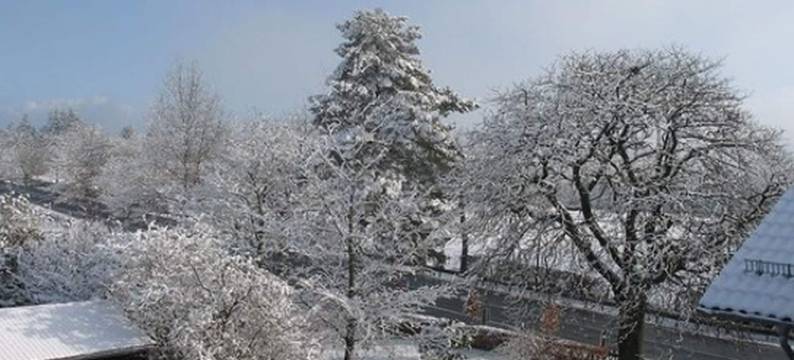 古特马里恩比尔德辰兰德酒店(Landgasthof Gut Marienbildchen)图片