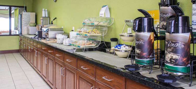 凯艺套房酒店(Quality Inn & Suites)图片