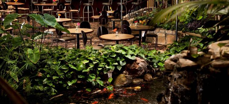 拉伯克希尔顿安泊套房酒店(Embassy Suites by Hilton Lubbock)图片