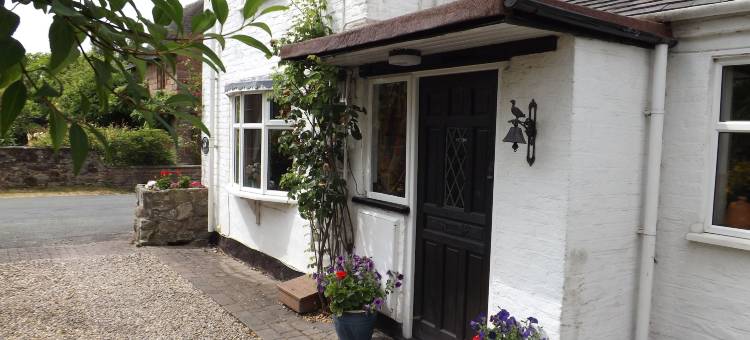 白色小屋住宿加早餐旅馆(White Cottage Bed and Breakfast)图片
