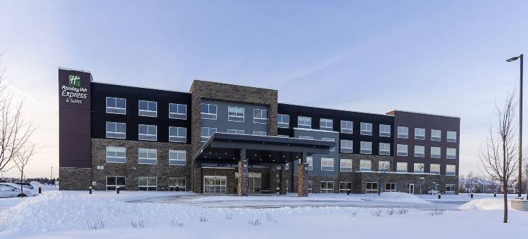 西得梅因智选假日套房酒店 - 乔丹西(Holiday Inn Express & Suites West des Moines - Jordan West)图片