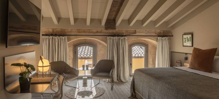 坎奥里华丽Retreat - 限成人(Can Aulí Luxury Retreat - Adults Only)图片