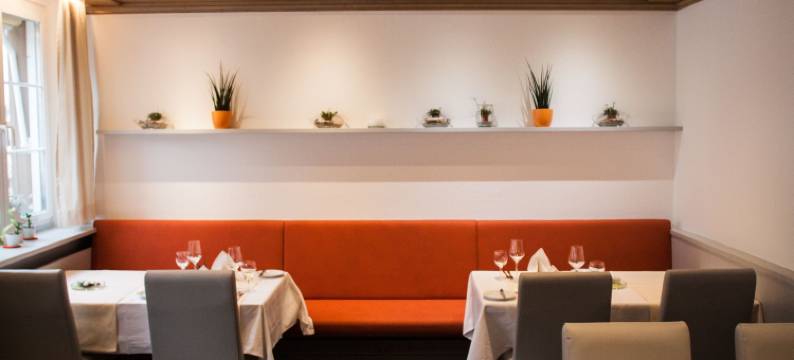 沃尔德舒特霍夫酒店(Waldshuter Hof)图片