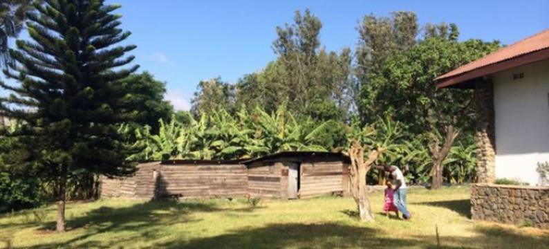 卡斯温德农场酒店(Kaswende Farm)图片