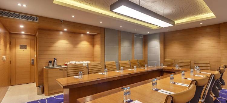 新德里哈里纳加尔金色郁金香酒店(Golden Tulip New Delhi - Hari Nagar)图片