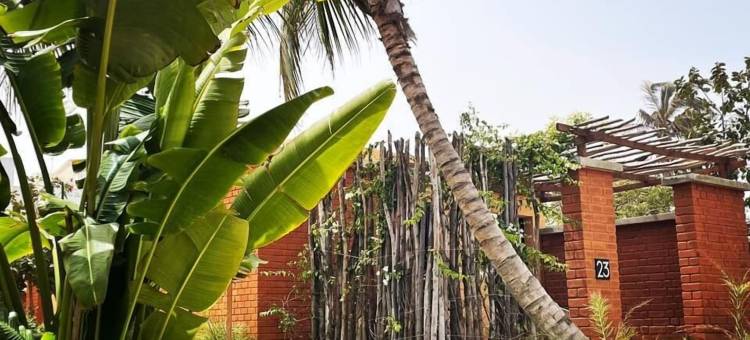 Hôtel BOMA (BOMA酒店)(Boma LifeStyle Hotel)图片