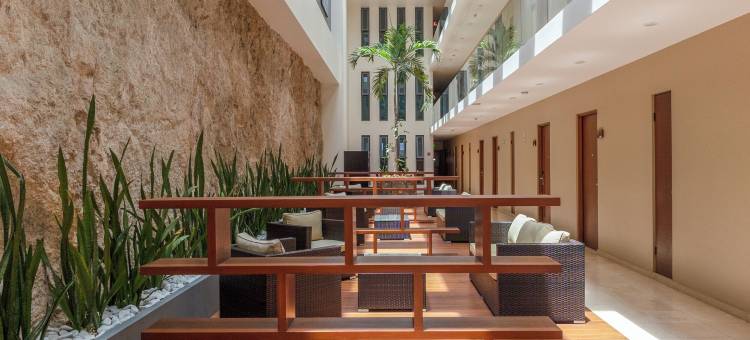 卡波之阳酒店(Gamma Los Cabos)图片