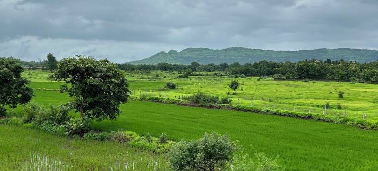 卡尔贾特山(Karjat Hills)图片