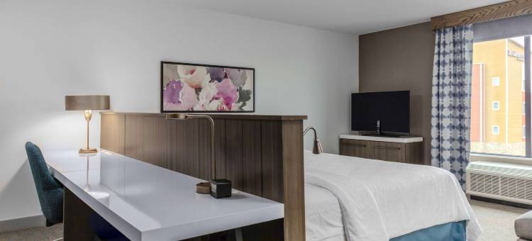 底特律尤蒂卡希尔顿花园旅馆(Hilton Garden Inn Detroit Utica)图片