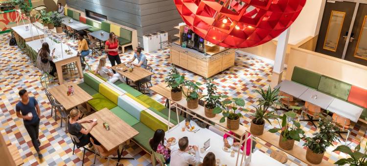 阿姆斯特丹东斯托亚凯青年旅舍(Stayokay Hostel Amsterdam Oost)图片