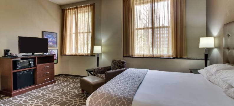 克里夫兰市中心德鲁里广场酒店(Drury Plaza Hotel Cleveland Downtown)图片