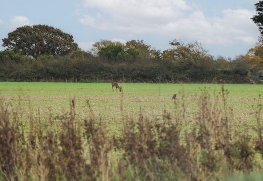 Seasalt HavenHotel Overview