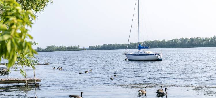 里多汽车旅馆(Motel Rideau)图片