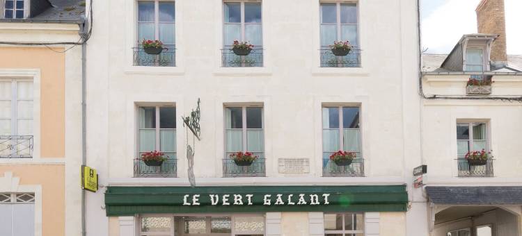 沃特嘉兰特罗吉斯酒店(Logis Hôtel le Vert Galant)图片