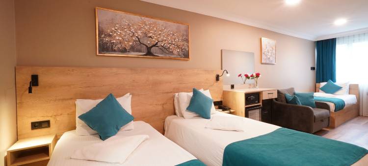 卡德柯伊圣母酒店(The Marist Hotel Kadikoy)图片