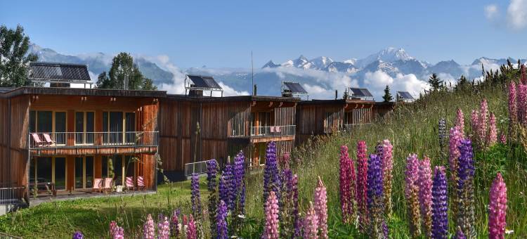 里艾奎勒格瑞维木屋酒店(L'Aiguille Grive Chalets Hotel)图片