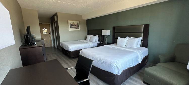 霍霍港舒适酒店(Comfort Inn)图片