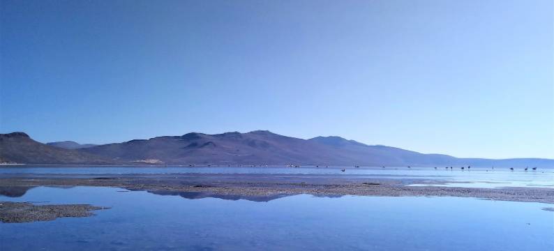 莫亚大宅(Casona Moya)图片