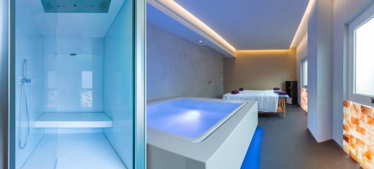 梅丽亚瓦伦西亚皇宫酒店(SH Valencia Palace)图片